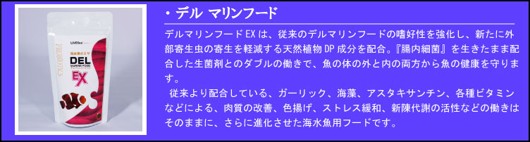 �ǥ�ޥ��ա���